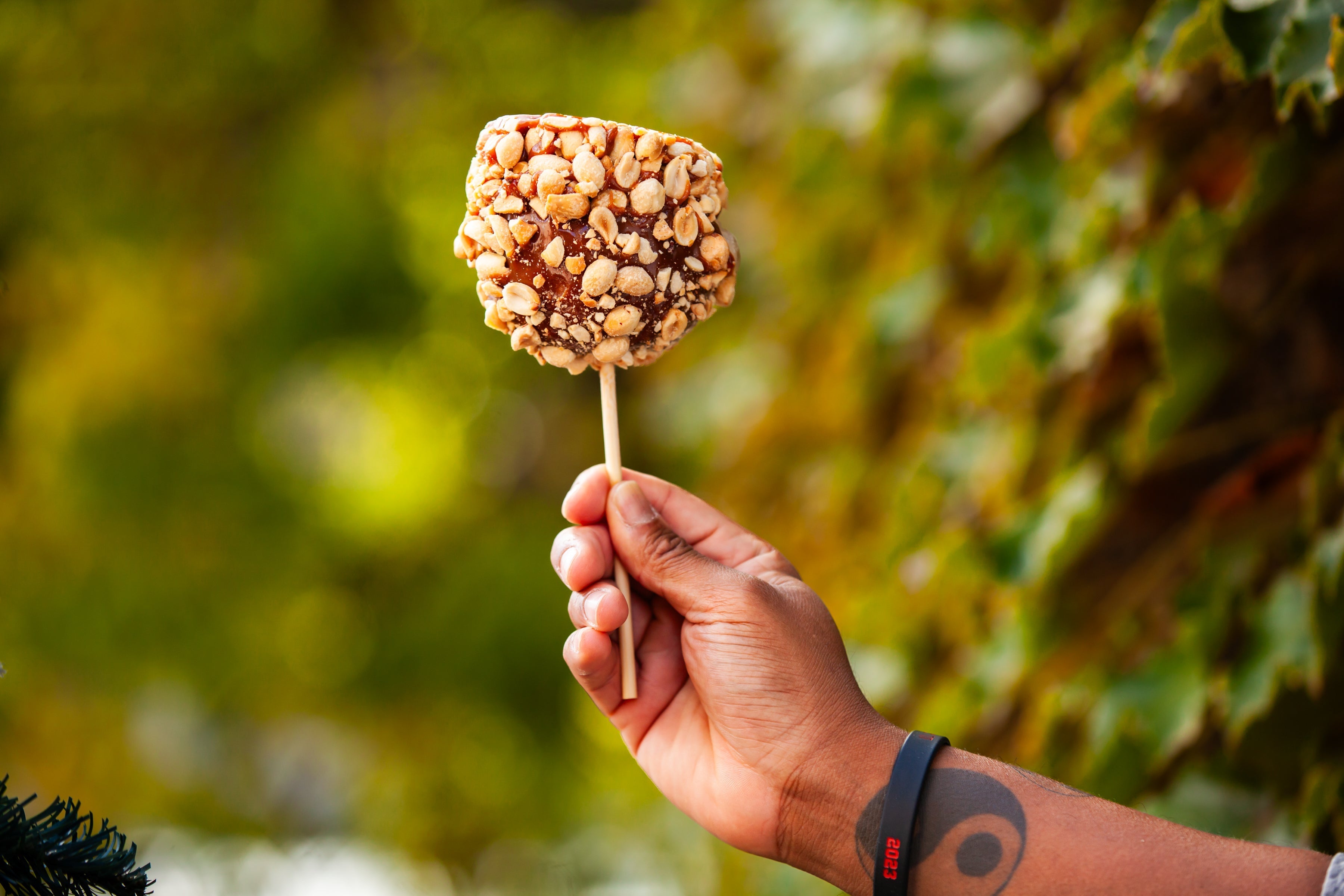 Gourmet Caramel-Dipped Apples