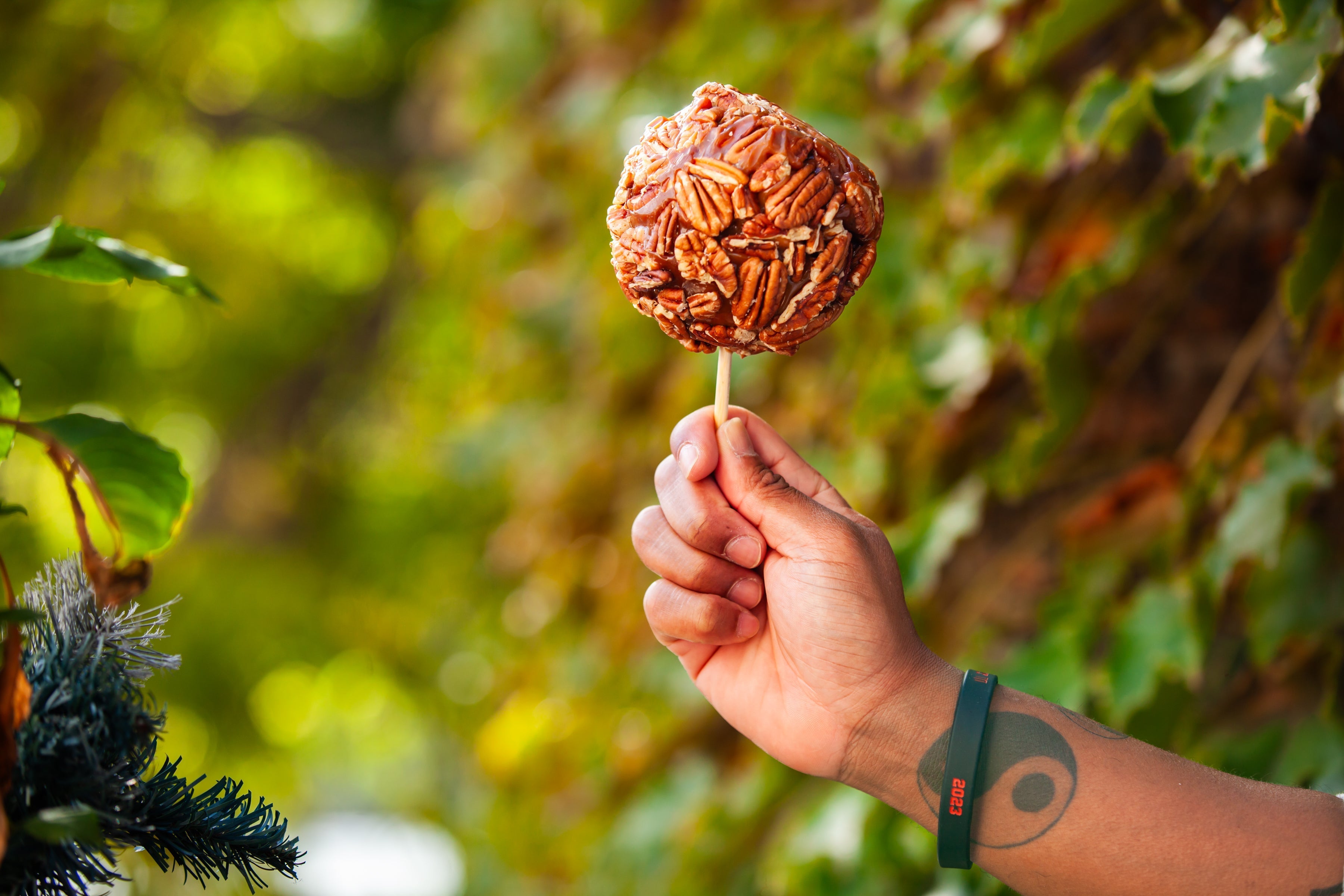 Gourmet Caramel-Dipped Apples