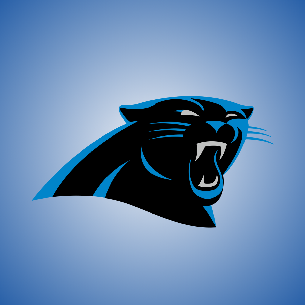 Carolina Panthers
