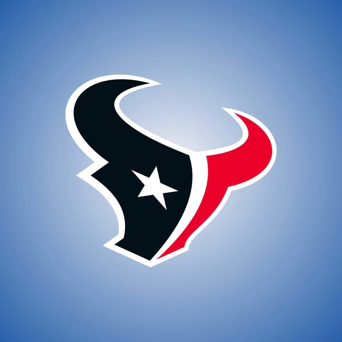 Houston Texans