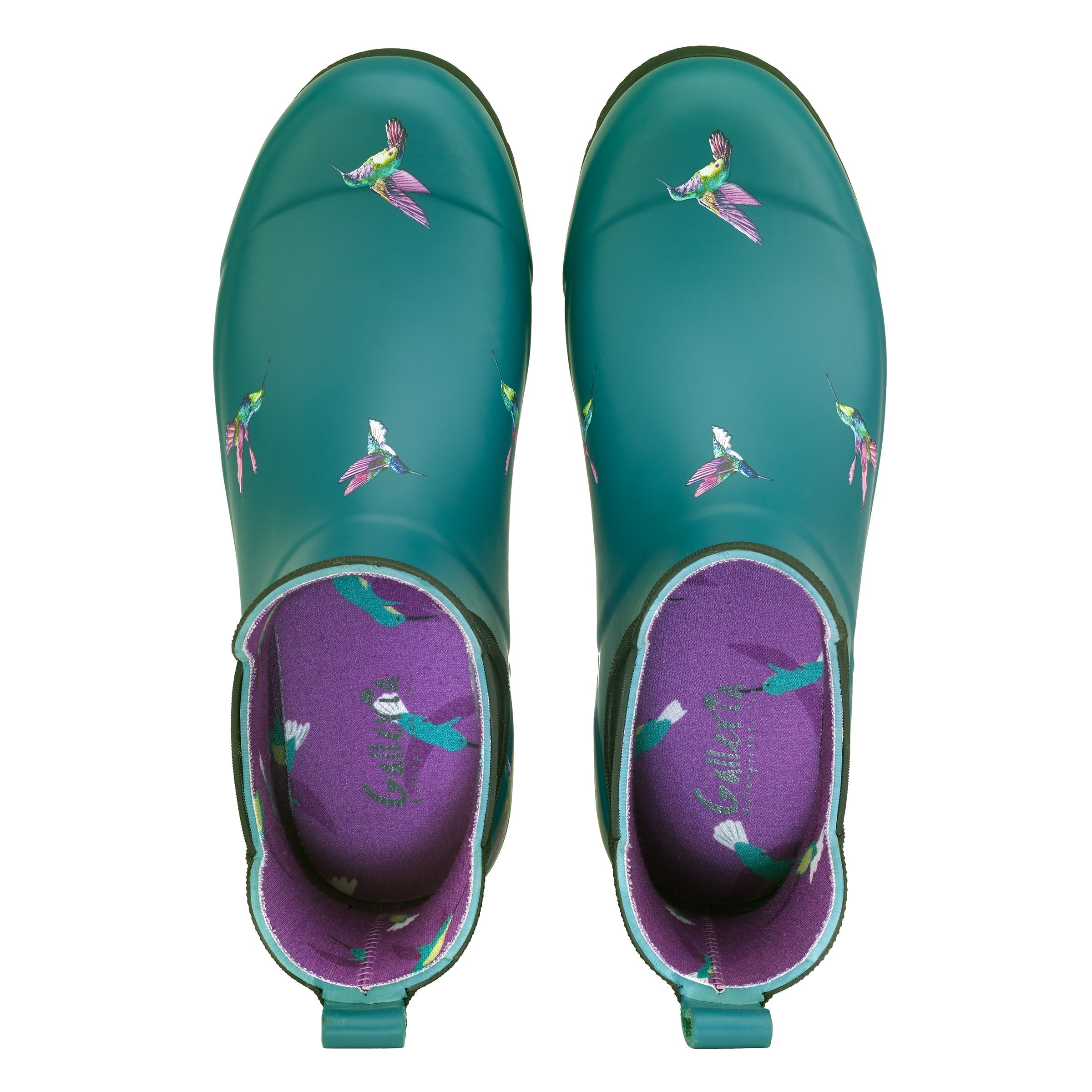 Humming Birds Chelsea Rain Boots