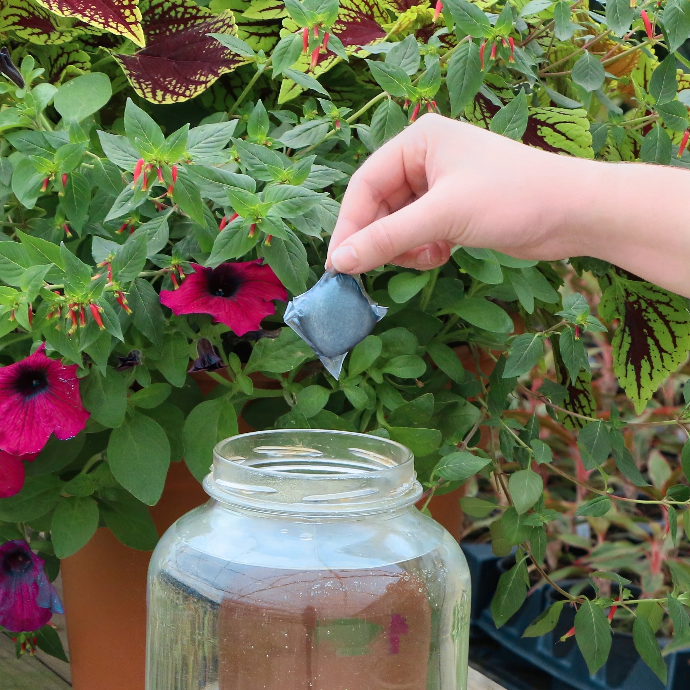 25-Count NPK+ Fertilizer Pods for Acid Loving Plants