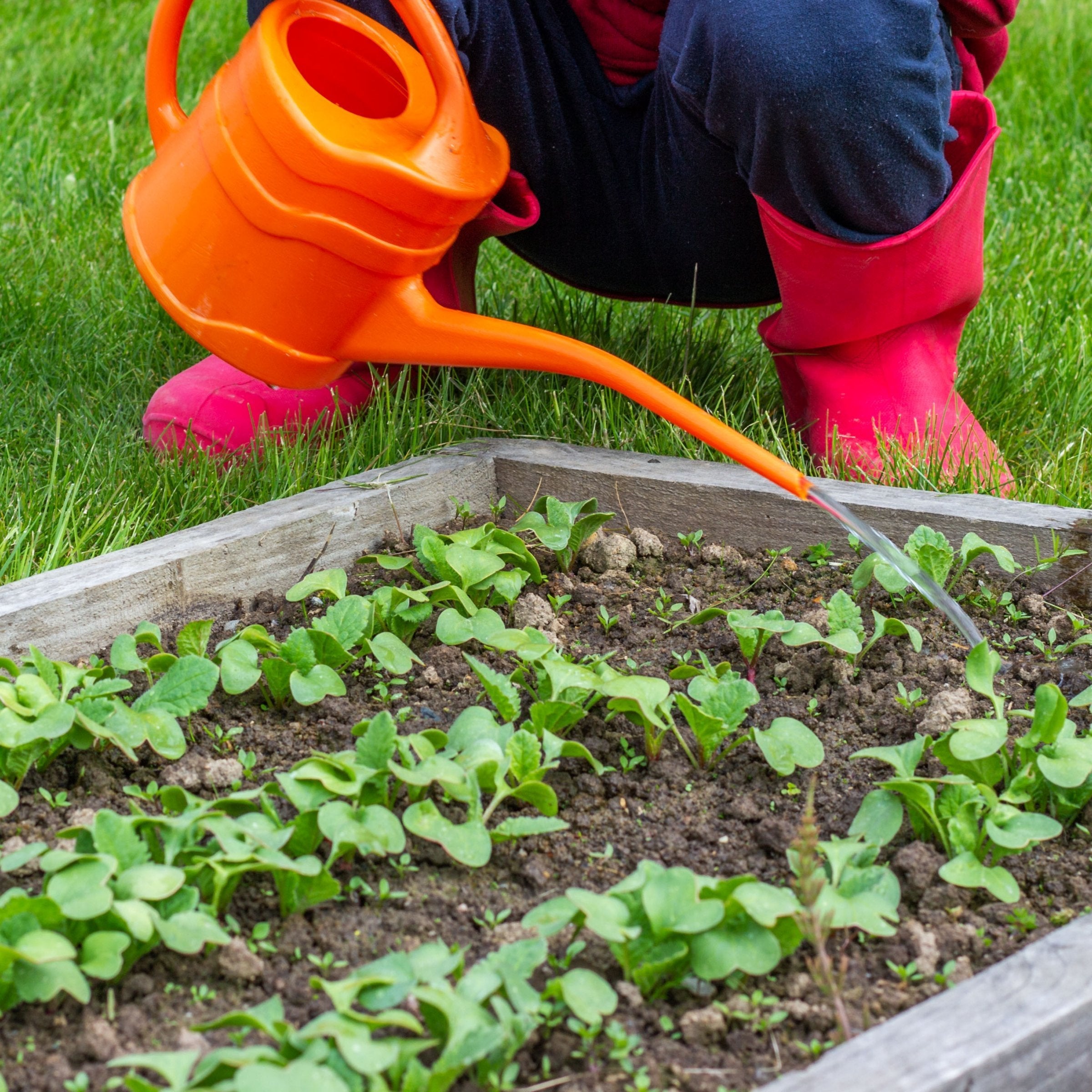 25-Count NPK+ Fertilizer Pods for Fruits & Vegetables